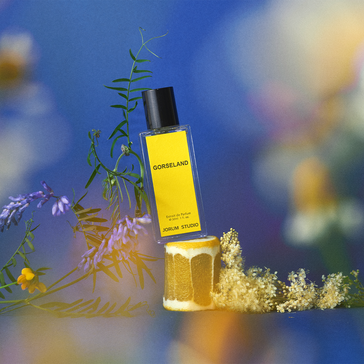 Gorseland 50 ml Extrait de Parfum von Jorum Studio