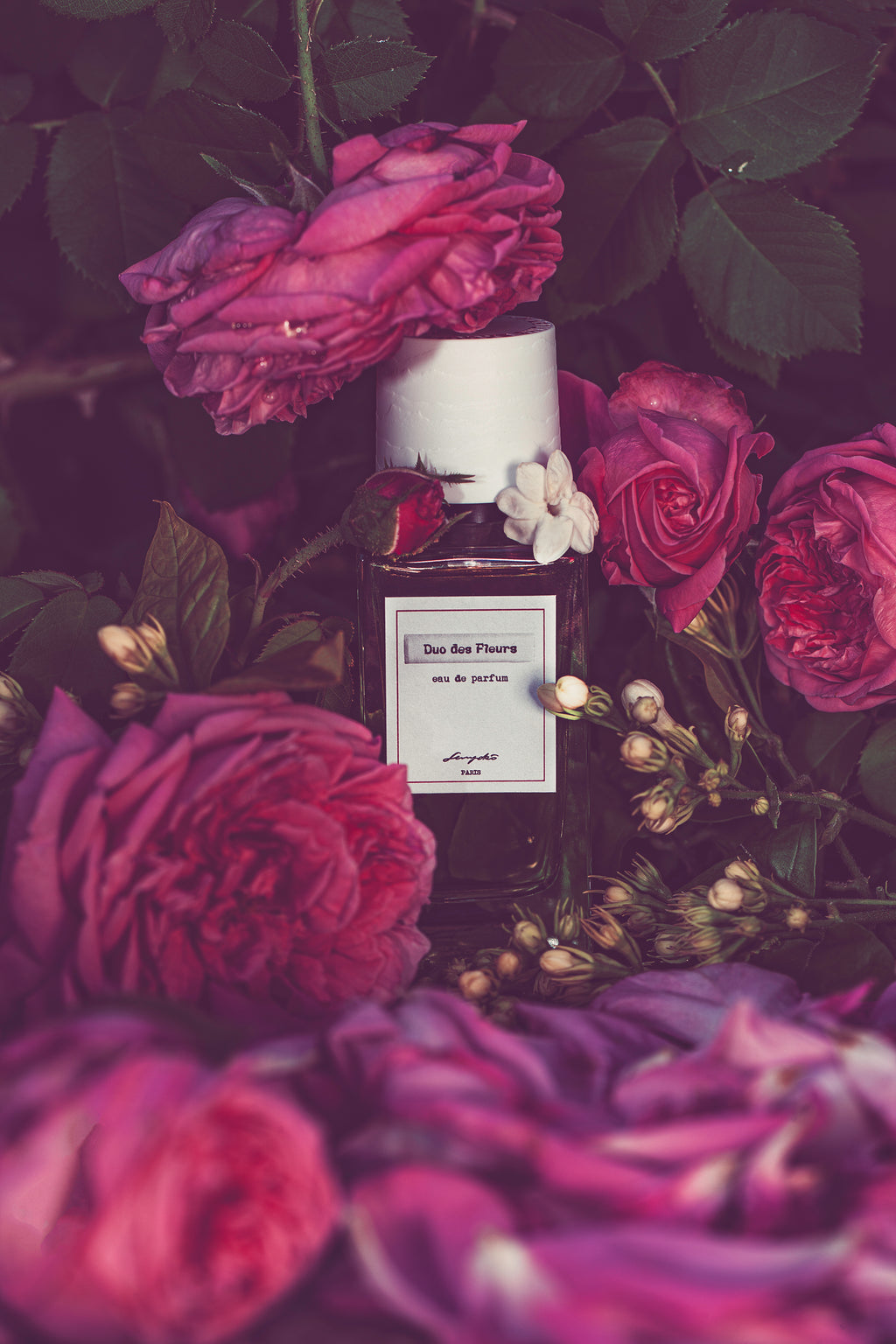 Duo des Fleurs