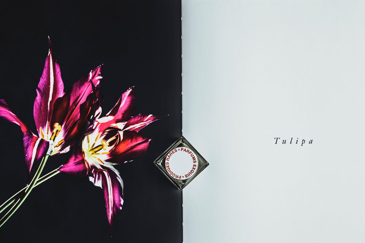 Madama Butterfly II
