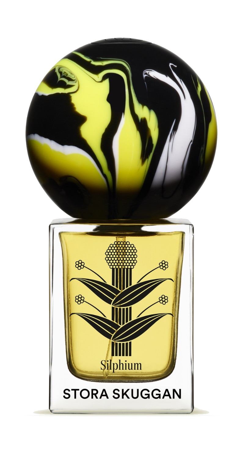 Silphium