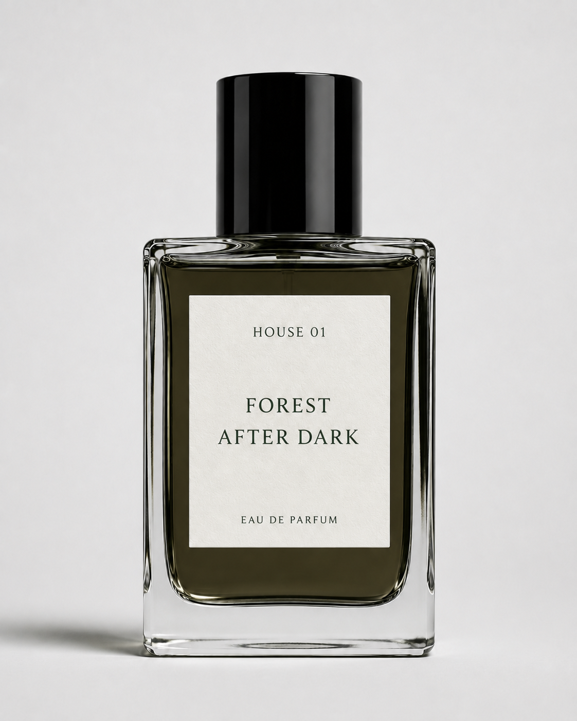 Forest After Dark